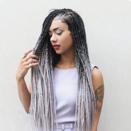 Grey End Long Braids Hairstyle