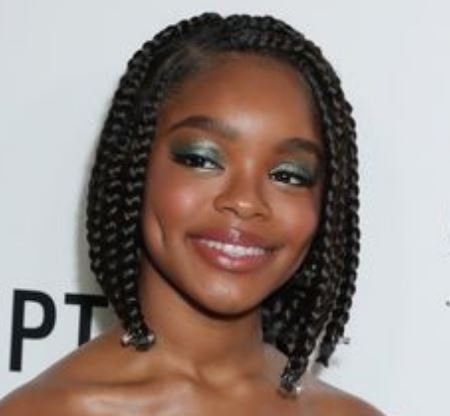 Ombre Box Braids Hairstyle