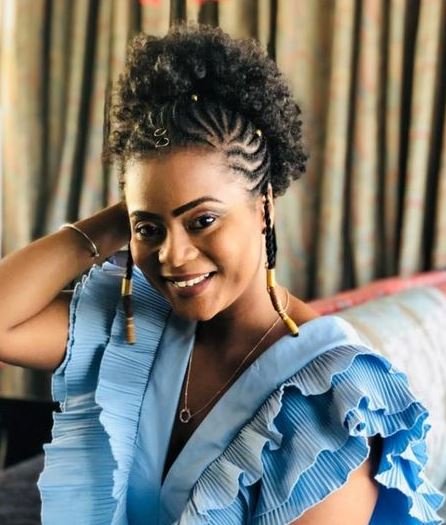 Fulani Braids And Puff Hair