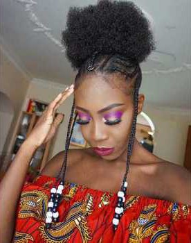 Afro Fulani Braids Hairstyle 
