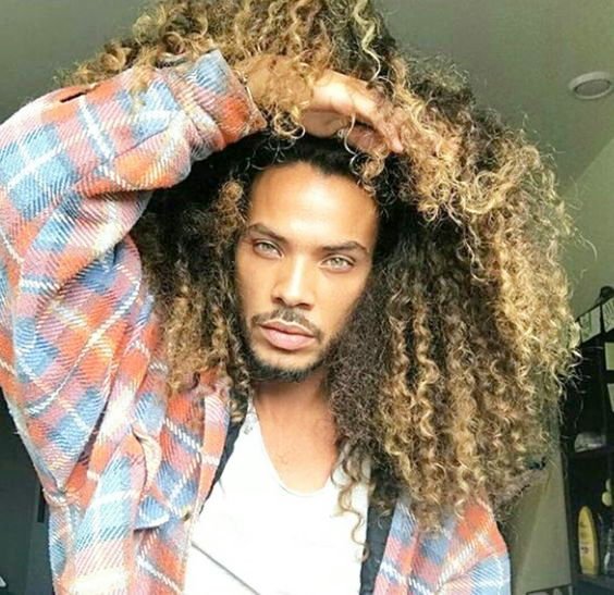 WIld Curls