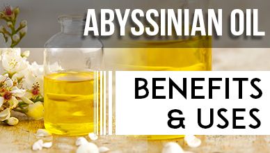Abyssinian Oil Benefits and Uses