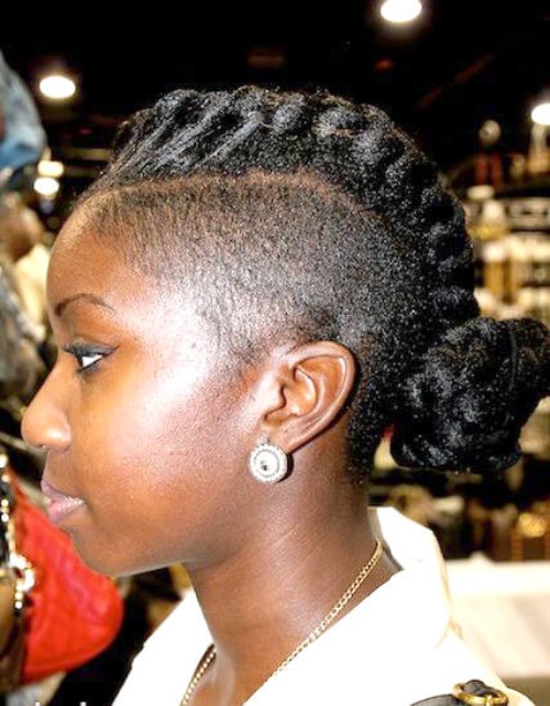 African American Natural Hairstyles for Adults