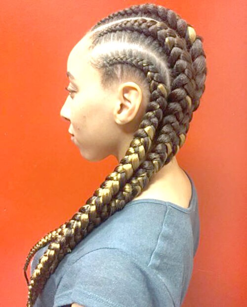 Nicely Managed Thin Long Braids 