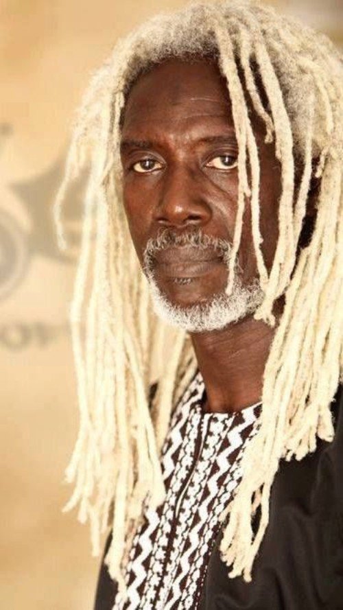 Incredible! Blonde Dreadlocks Hairstyles [Must See]