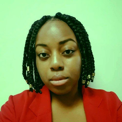 Ethnical Short Braids With Beads