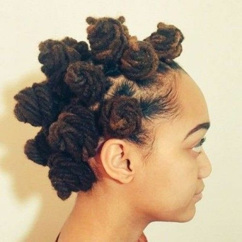 Dreadlocks Bantu Knots Hairstyles