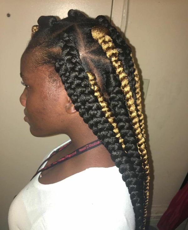 Highlighted Braids