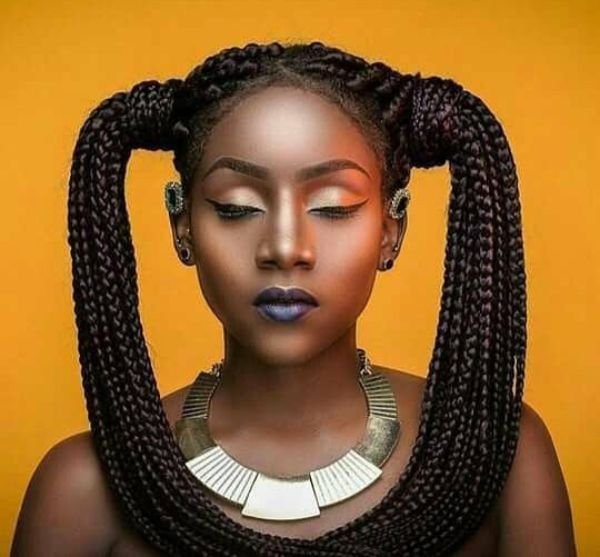Braided Ponytail
