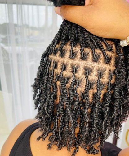 How to achieve two-strand twist starter locs step-by-step guide with ...